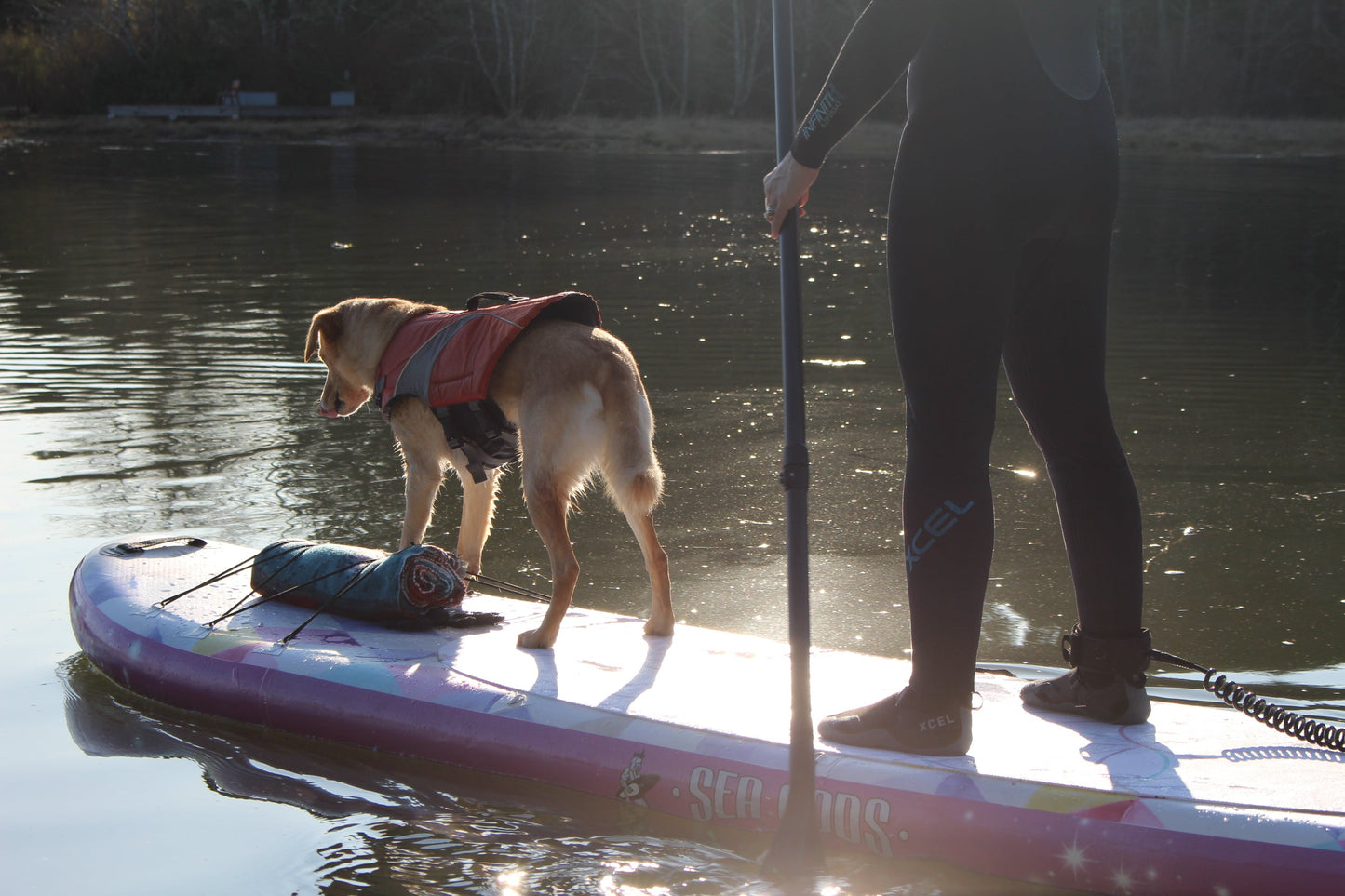 Water and Ocean with Dog and Family. Infinite Mantra 11 Inflatable Paddle Board (Yoga Inspired ISUP)